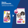 Science Diet Puppy Small & Mini